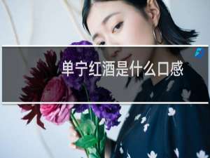 单宁红酒是什么口感