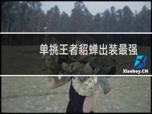 单挑王者貂蝉出装最强