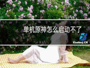 单机原神怎么启动不了