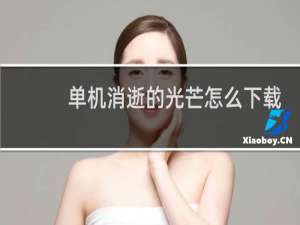单机消逝的光芒怎么下载