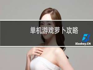 单机游戏萝卜攻略