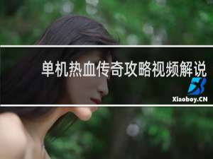 单机热血传奇攻略视频解说