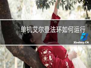 单机艾尔登法环如何运行