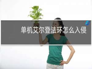 单机艾尔登法环怎么入侵