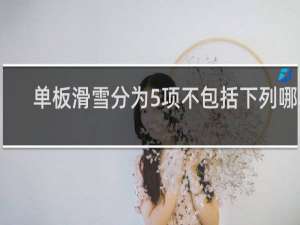 单板滑雪分为5项不包括下列哪项