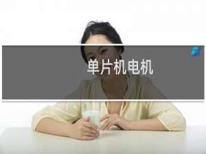 单片机电机