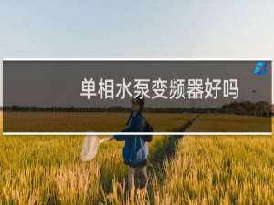 单相水泵变频器好吗