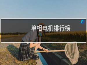 单相电机排行榜