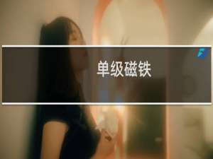 单级磁铁