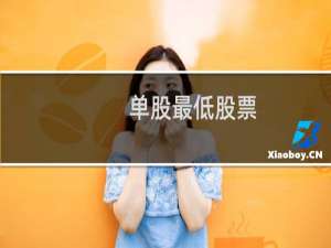 单股最低股票
