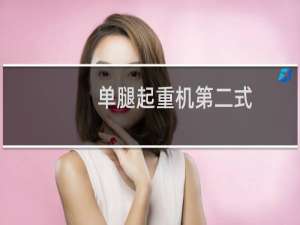 单腿起重机第二式