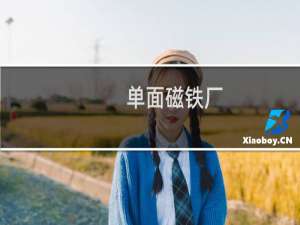单面磁铁厂