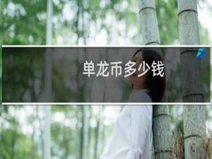 单龙币多少钱