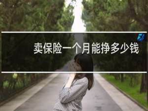 卖保险一个月能挣多少钱