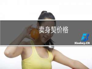 卖身契价格