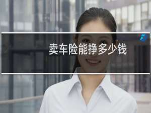 卖车险能挣多少钱