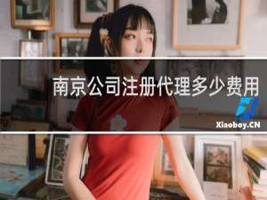 南京公司注册代理多少费用