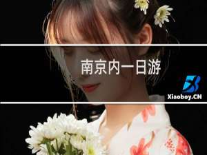 南京内一日游
