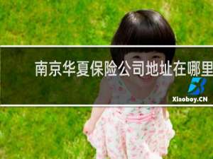 南京华夏保险公司地址在哪里