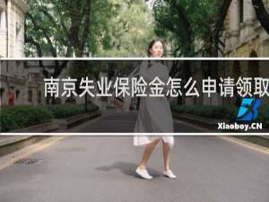 南京失业保险金怎么申请领取