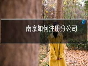 南京如何注册分公司
