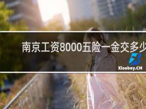 南京工资8000五险一金交多少