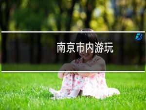 南京市内游玩