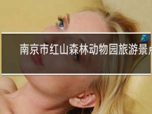 南京市红山森林动物园旅游景点