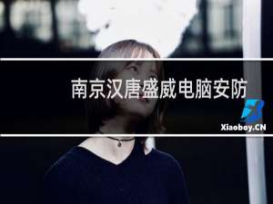 南京汉唐盛威电脑安防