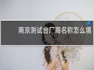 南京测试台厂商名称怎么填
