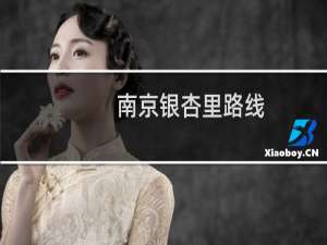 南京银杏里路线