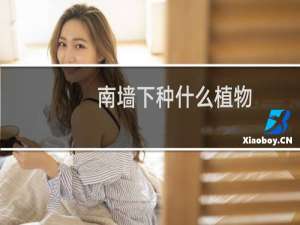 南墙下种什么植物