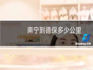 南宁到德保多少公里