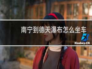 南宁到德天瀑布怎么坐车