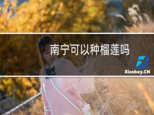 南宁可以种榴莲吗