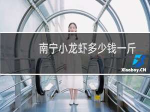 南宁小龙虾多少钱一斤
