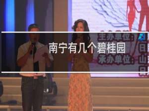南宁有几个碧桂园