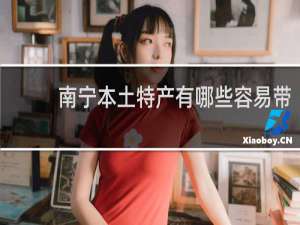 南宁本土特产有哪些容易带