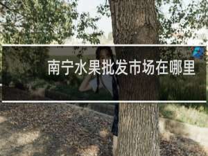 南宁水果批发市场在哪里