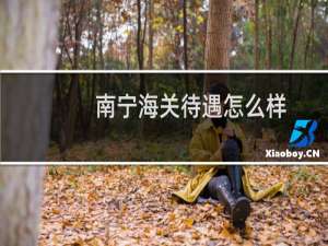 南宁海关待遇怎么样