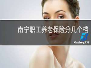 南宁职工养老保险分几个档