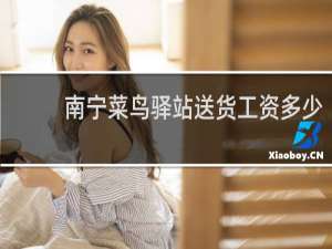 南宁菜鸟驿站送货工资多少