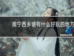 南宁西乡塘有什么好玩的地方