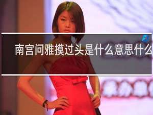 南宫问雅摸过头是什么意思什么梗