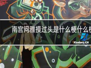 南宫问雅摸过头是什么梗什么梗