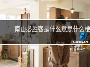 南山必胜客是什么意思什么梗