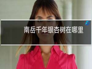南岳千年银杏树在哪里