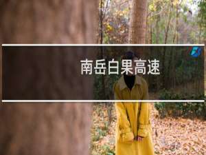 南岳白果高速