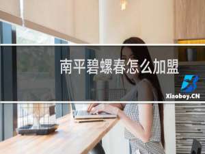 南平碧螺春怎么加盟