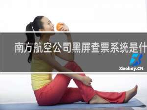 南方航空公司黑屏查票系统是什么